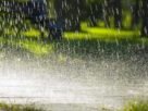 അഞ്ചു ദിവസം ശക്തമായ മഴ തുടരും; വിവിധ ജില്ലകളിൽ മുന്നറിയിപ്പ്