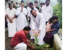 വെള്ളികുളം ഇടവകയിലെ ഭക്തസംഘടനകളുടെ ആഭിമുഖ്യത്തിൽ ലോക പരിസ്ഥിതി ദിനം ആചരിച്ചു