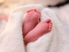 പ്രസവ ശേഷം ചോരക്കുഞ്ഞുങ്ങളെ മറിച്ചുവിൽക്കും; തീക്കോയിൽ നവജാത ശിശുക്കളെ കടത്തുന്ന സംഘമെന്ന് പരാതി